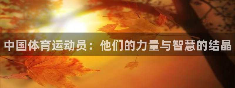 MK体育官网下载平台假的吗是真的吗吗:中国体育运动员:他们的