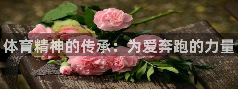 MK体育官网下载开户:体育精神的传承:为爱奔跑的力量